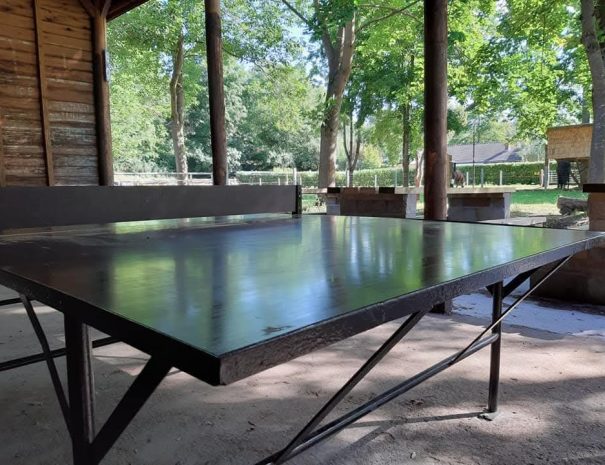 FB_IMG_1771942537066