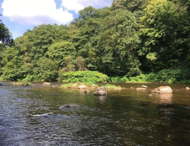 FB_IMG_1771942647967