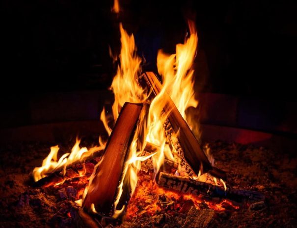 FB_IMG_1771942675939